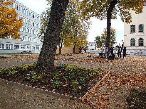 Innenhof - Pflanzaktion durch Gymnasisten