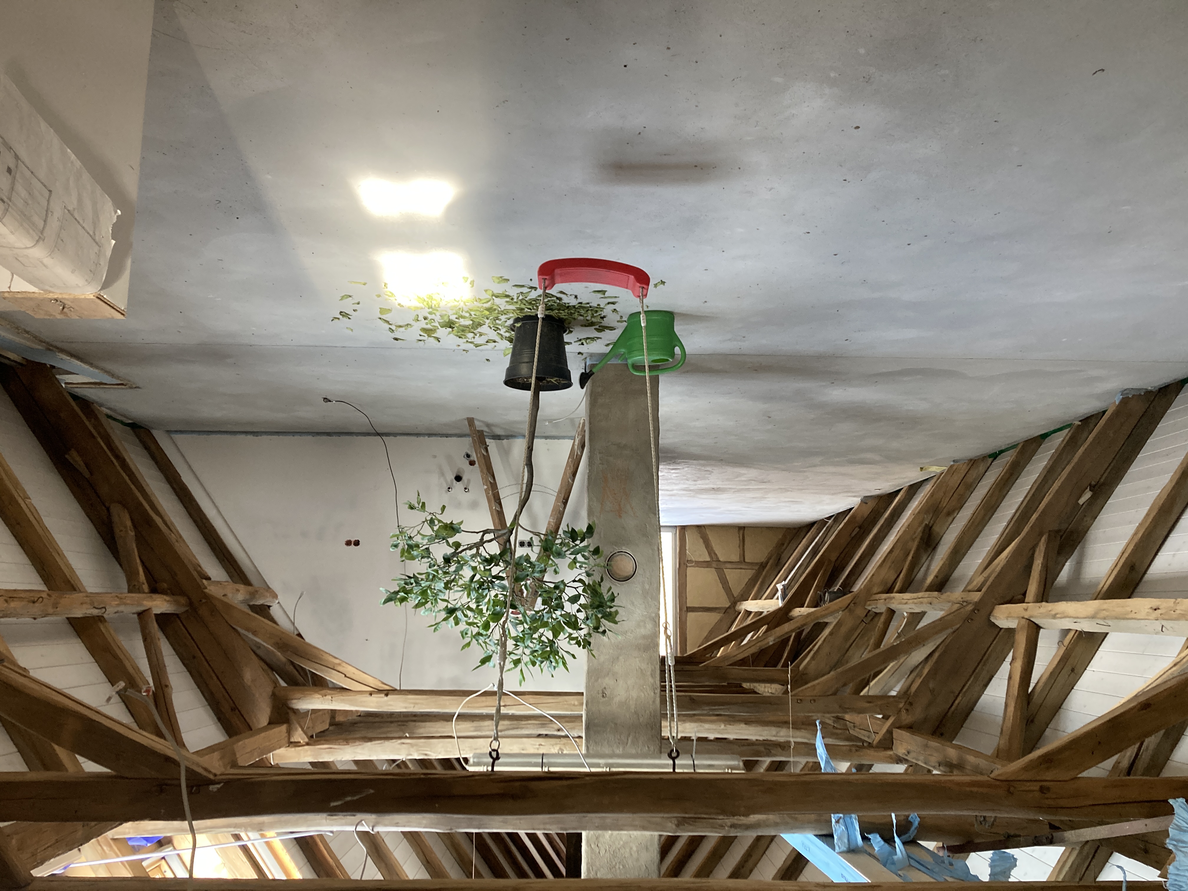 Denkmalgeschütztes Fachwerkhaus – Umbau und Wiederbelebung (Foto: © Studio Martin Beck)