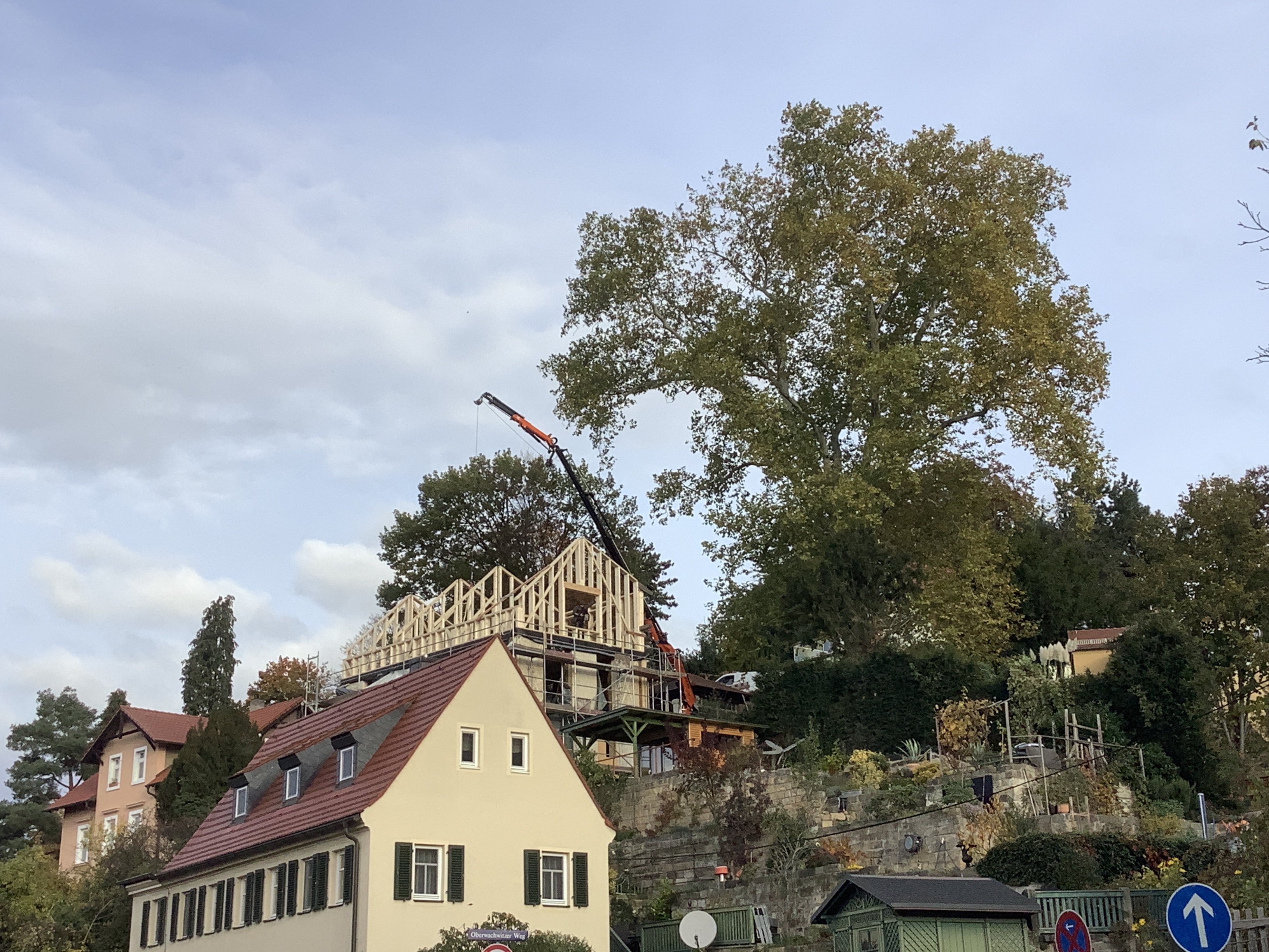 Ein Strohhaus am Elbhang – Werkbericht im offenen Büro (Foto: © studio naito)