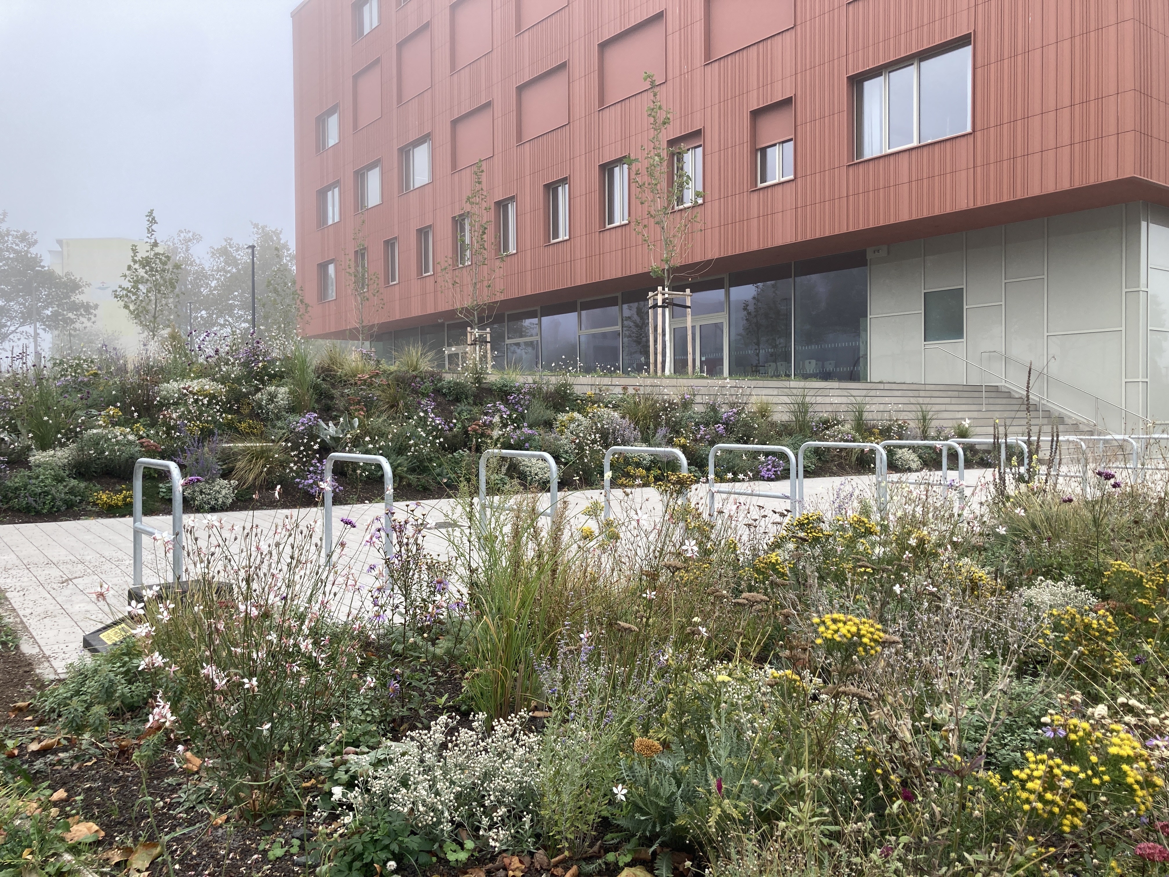 Grundschule Großzschocher (Foto: © GFSL gruen fuer stadt + leben)