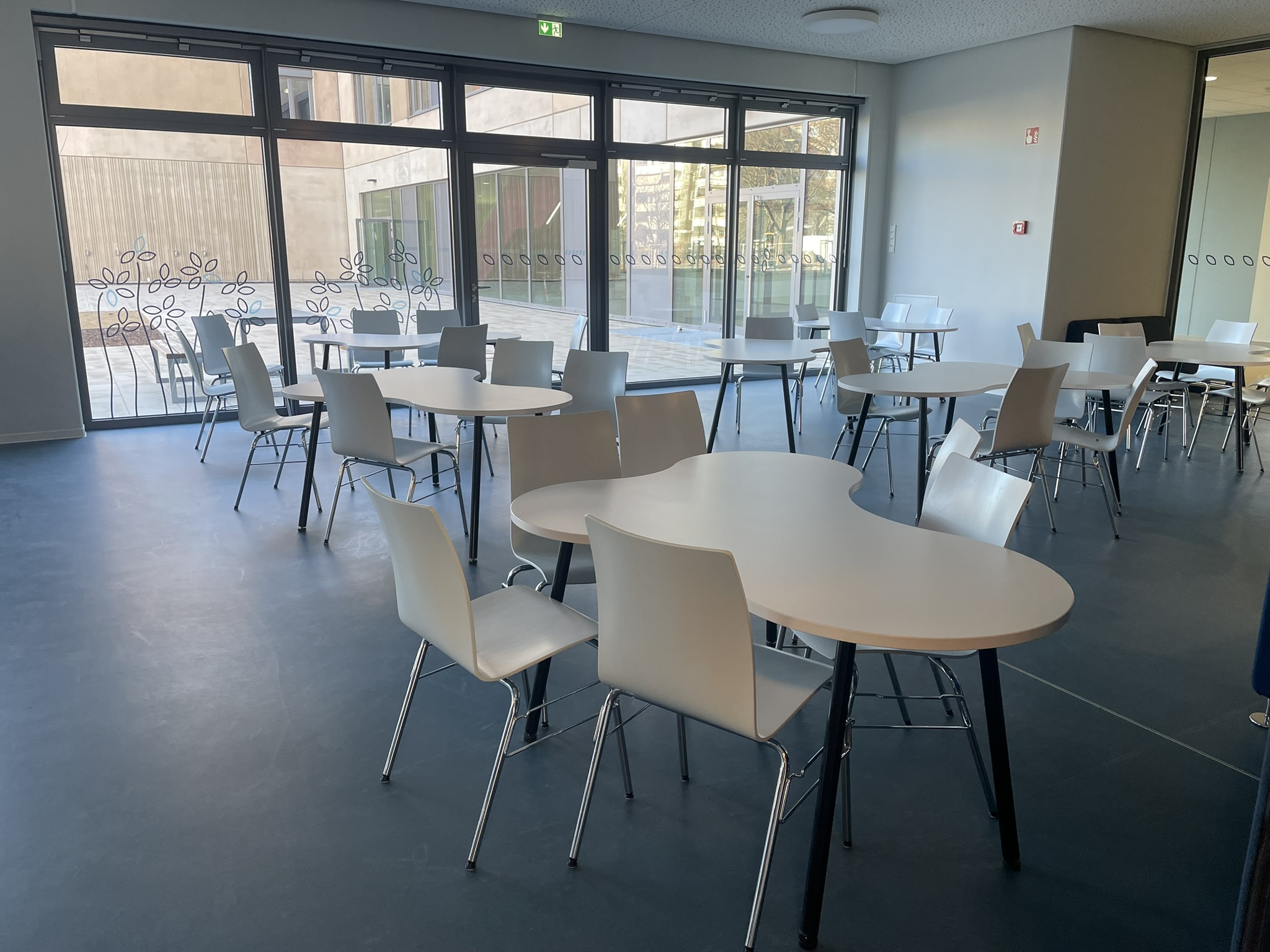 Gymnasium und Dreifeldsporthalle mit Freianlagen Freie Evangelische Schule (FES) Dresden – Neubau (Foto: © Falk Schubert)