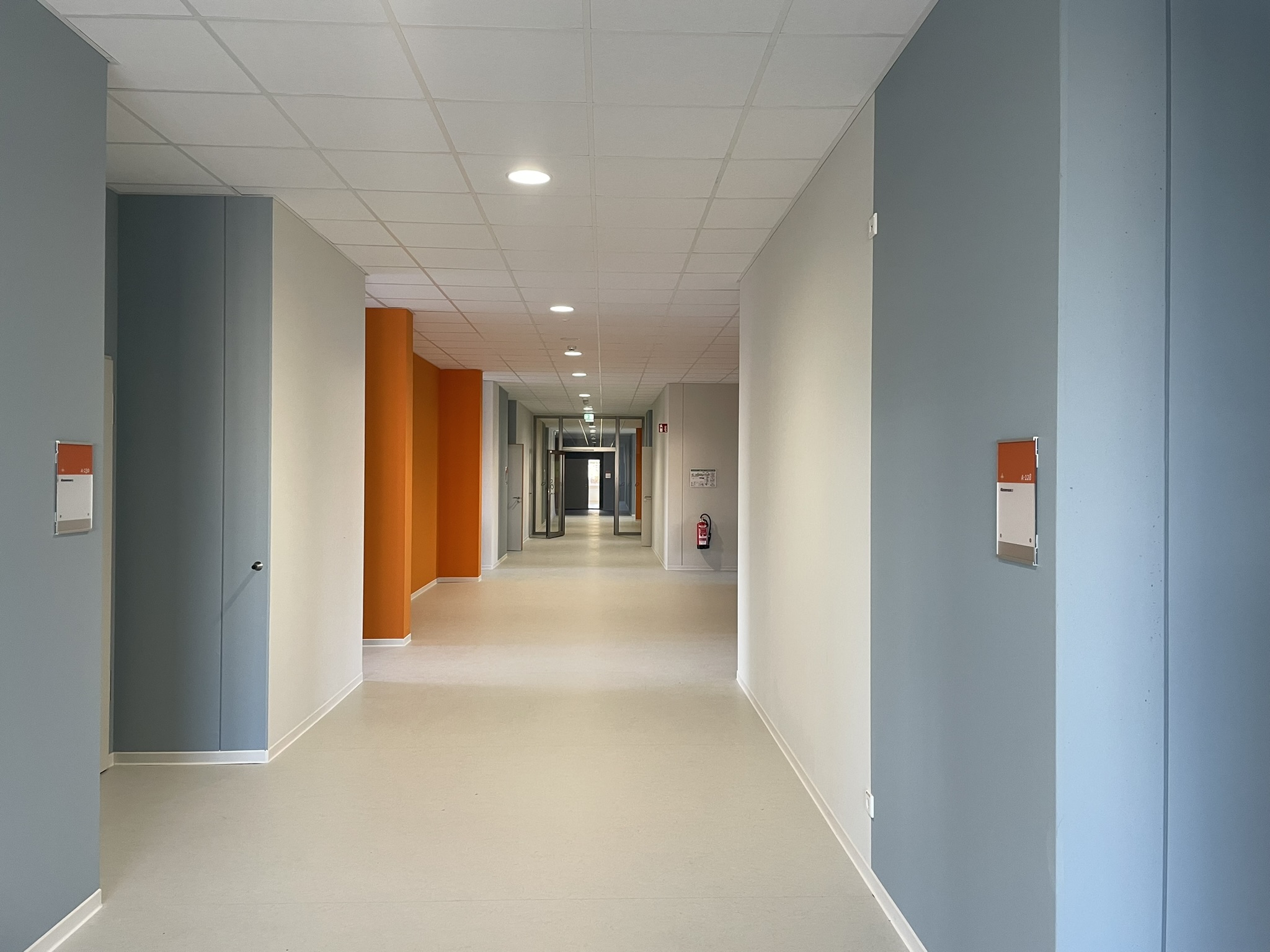 Gymnasium und Dreifeldsporthalle mit Freianlagen Freie Evangelische Schule (FES) Dresden – Neubau (Foto: © Falk Schubert)