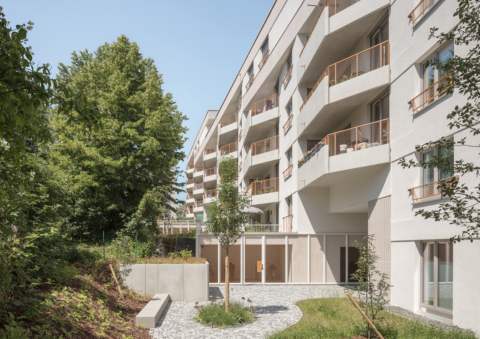Wohnquartier "Freiberger Garten" (Foto: © Till Schuster)